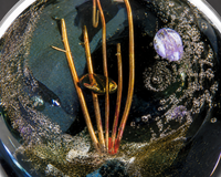 Acquario — Scultura in Vetro di Murano